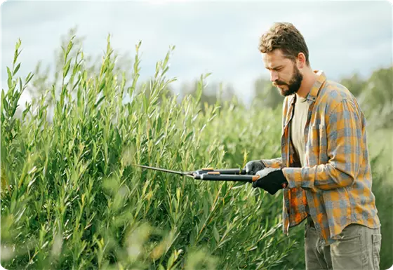 Gartenservice & Pflanzberatung