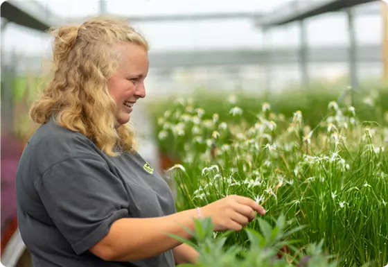 Produktionsgärtnerei