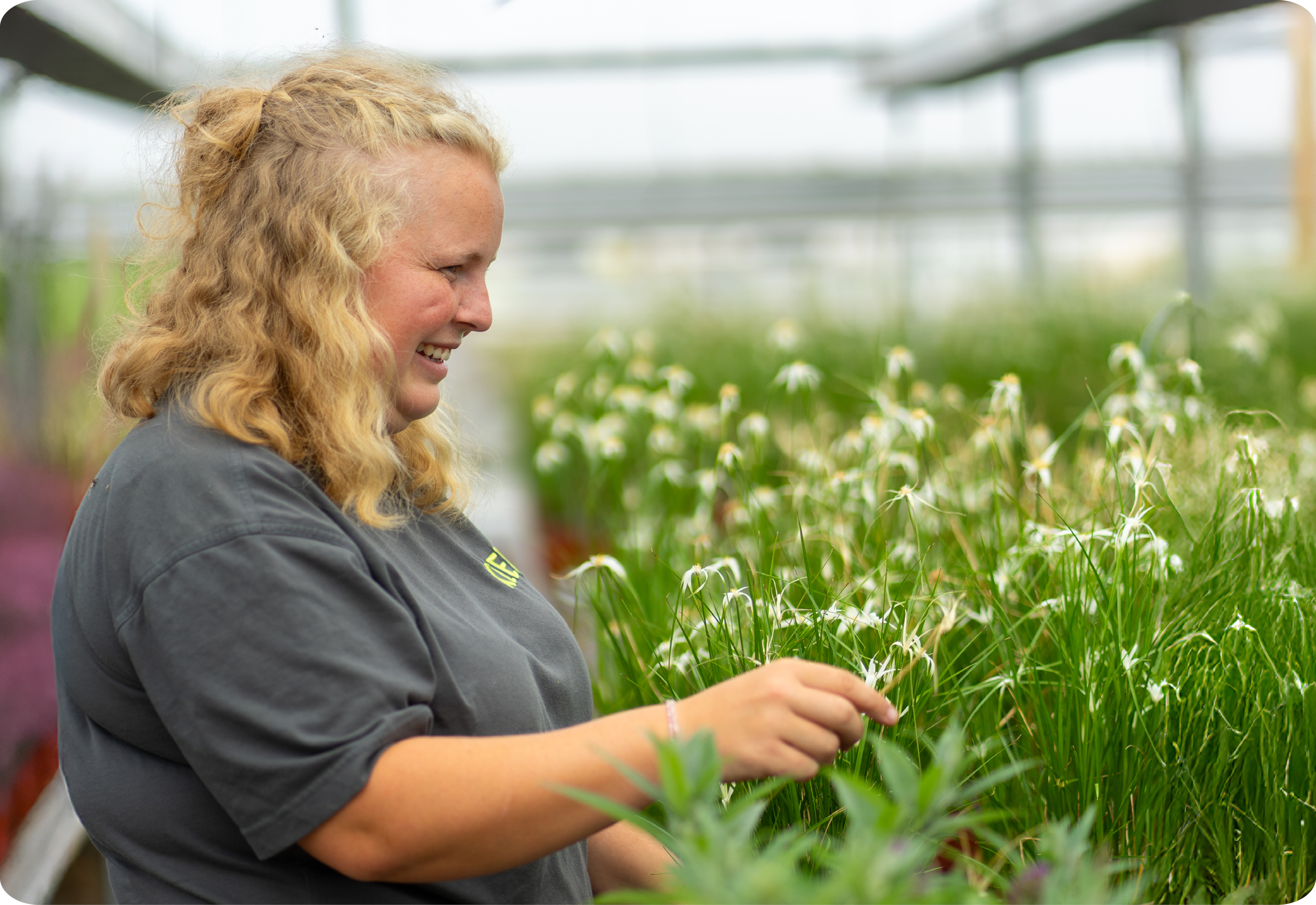 Nachhaltige Pflanzenanzucht im Kiefl Gartencenter Gauting