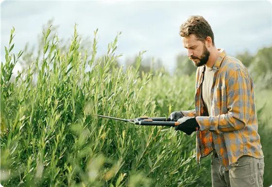 Gartenservice vor Ort