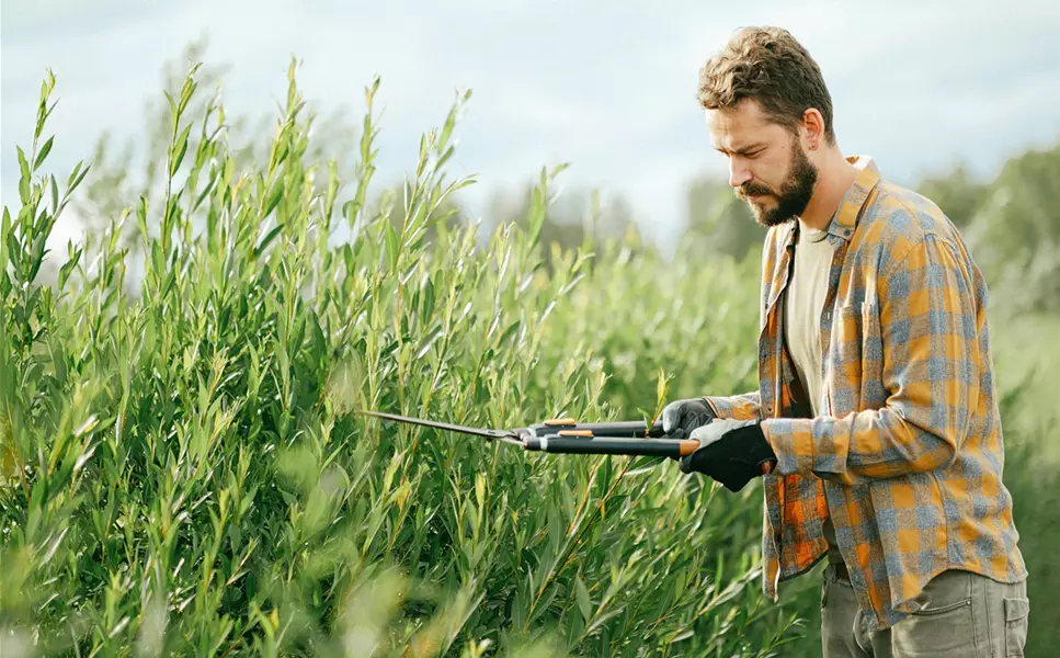 Planen, pflanzen, fertig! - Gartenservice vor Ort