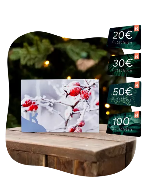 Motiv-Gutschein Hagebutten im Schnee