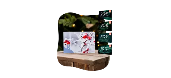 Motiv-Gutschein Hagebutten im Schnee