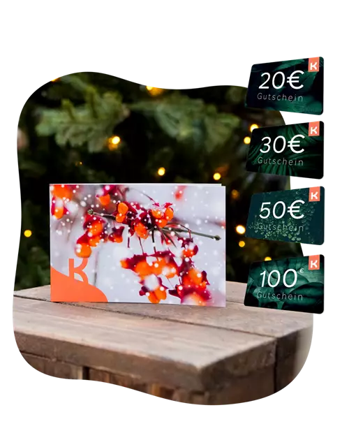 Motiv-Gutschein Pfaffenhüttchen