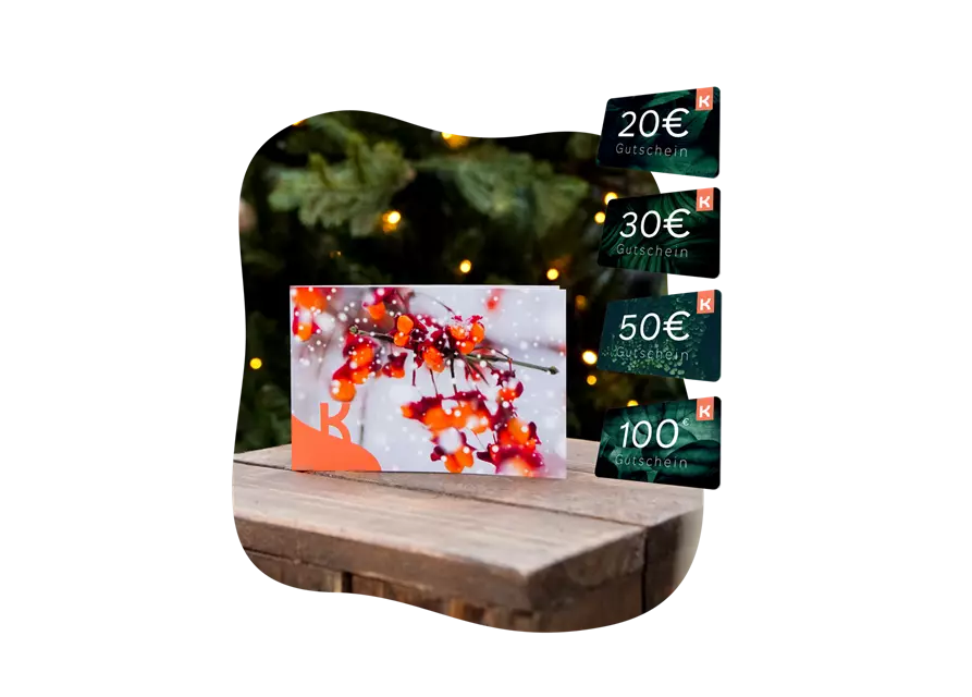 Motiv-Gutschein Pfaffenhüttchen