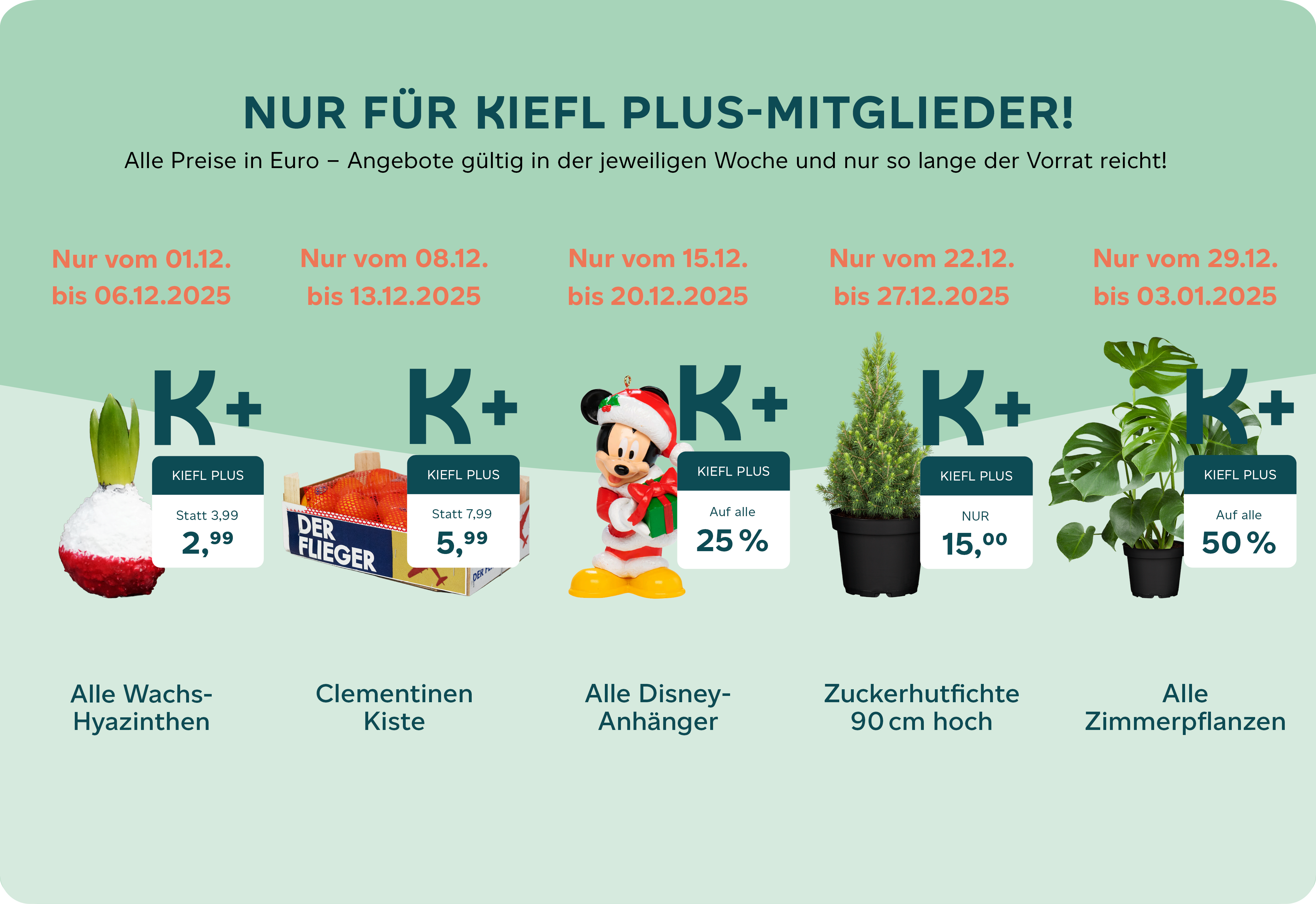 Kiefl Plus Angebote Dezember 2025 Webseite.png