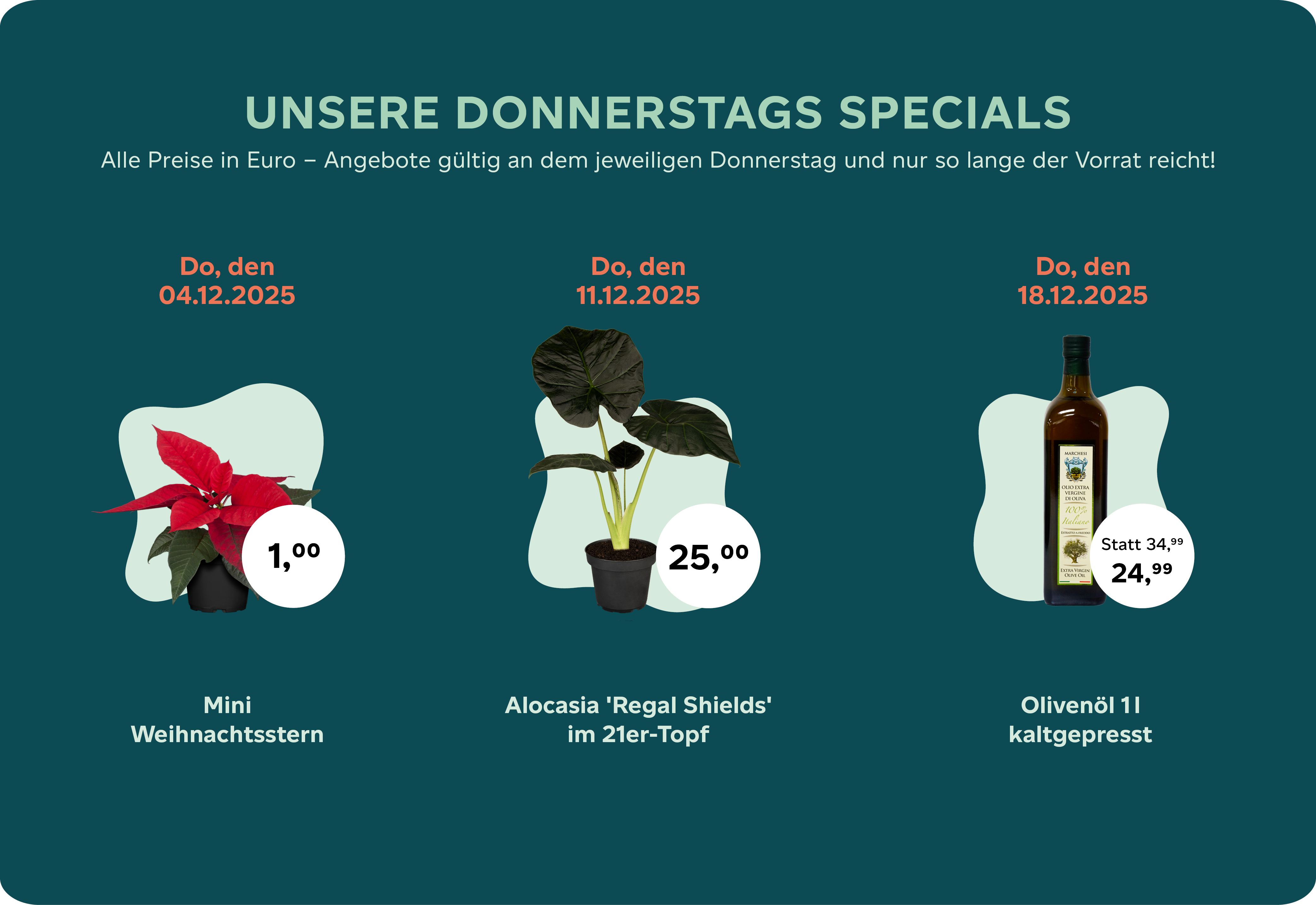 Donnertags-Special Dezember 2025.png