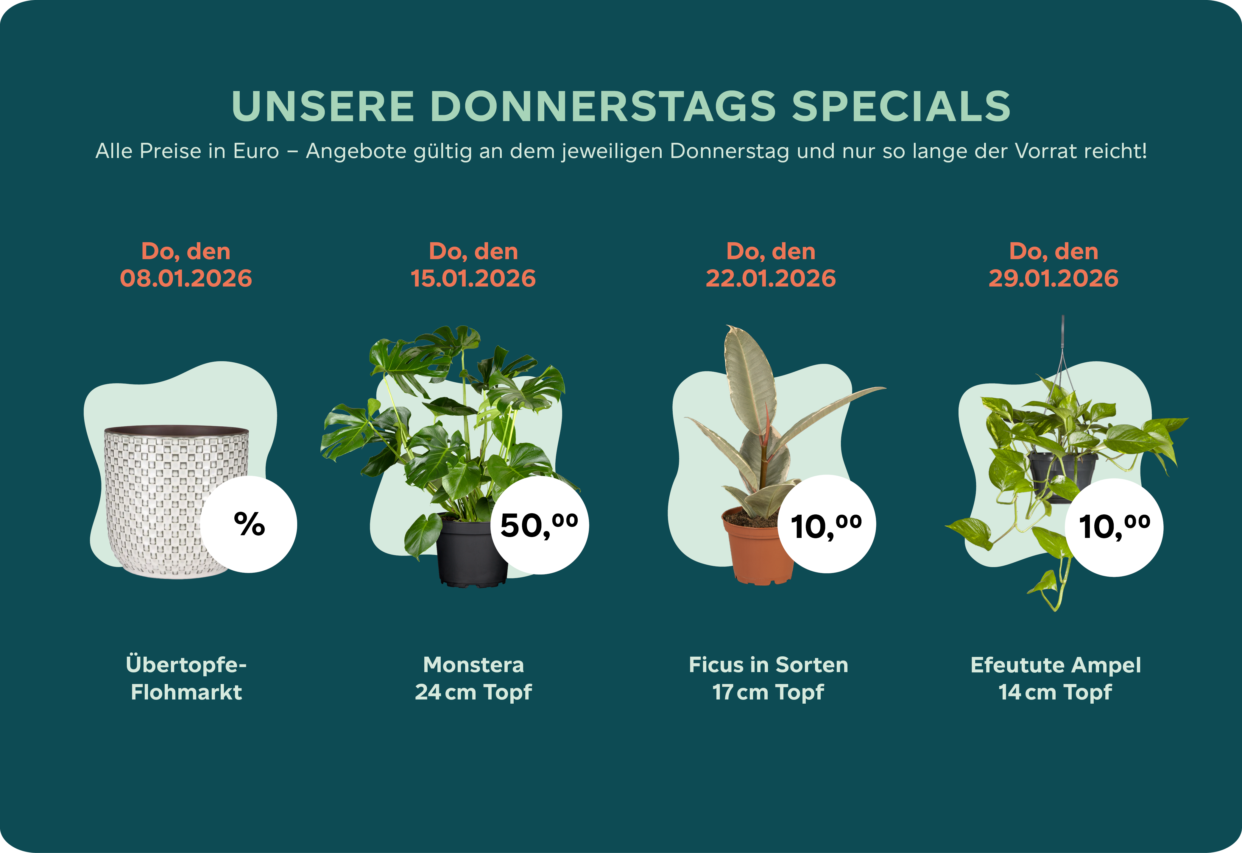 Donnertags-Special Januar 2026.png