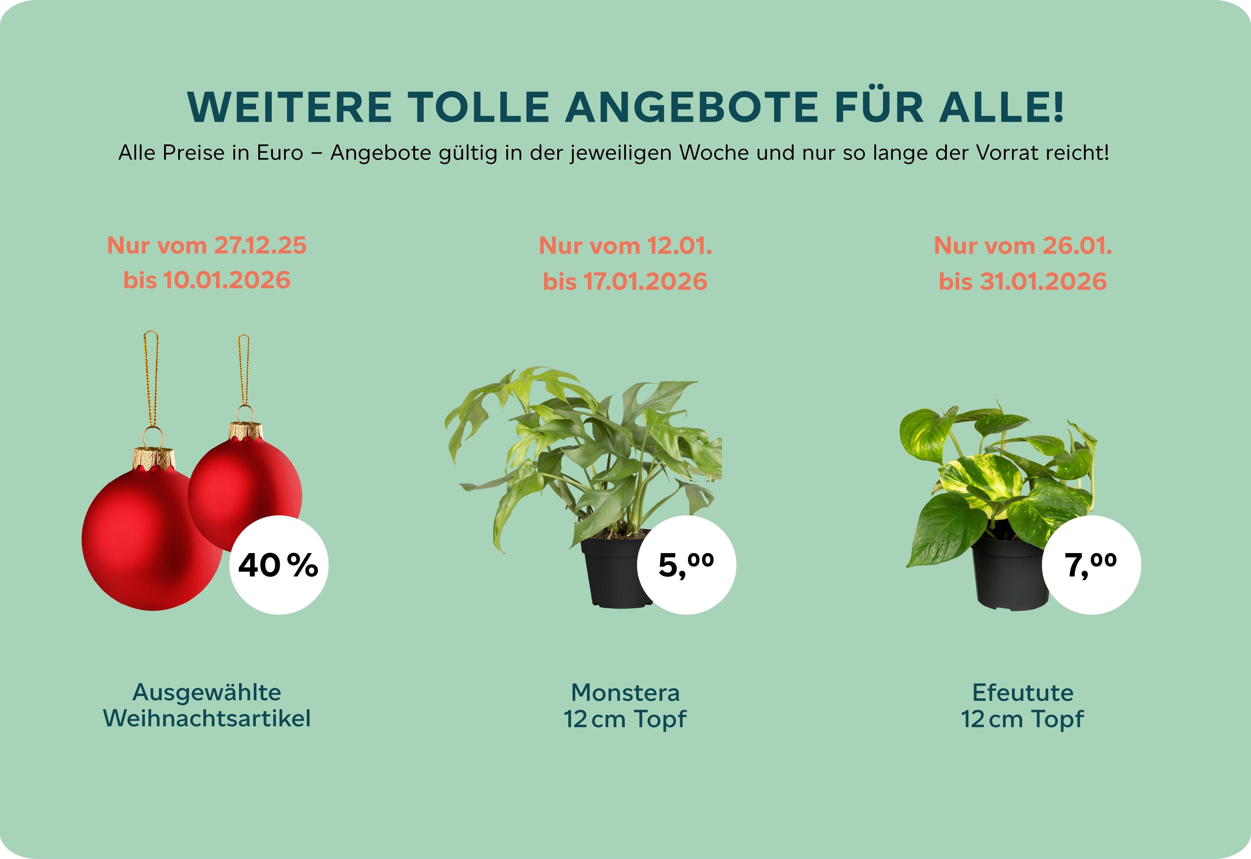 Weitere Angebote Januar 2026 Webseite.png