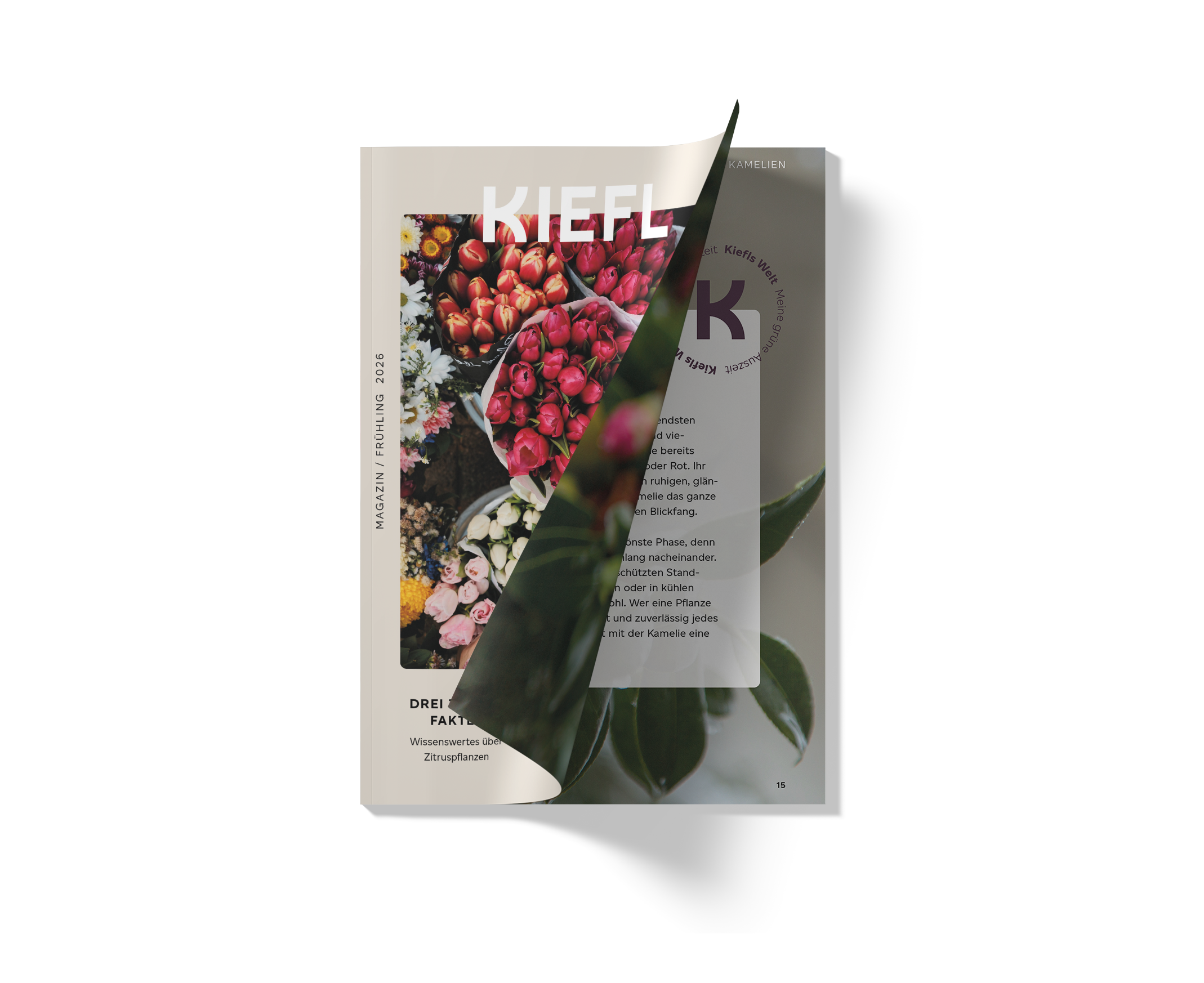 Neu: - Kiefl Magazin Frühling 2026