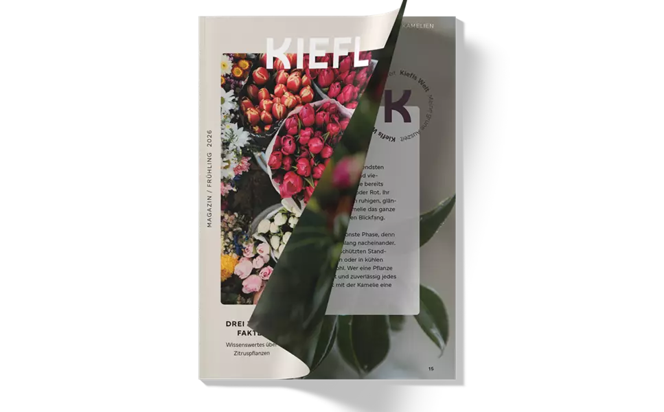 Neu: - Kiefl Magazin Frühling 2026
