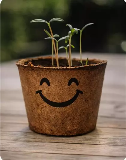 Pflanz Dich glücklich | Vom 02. bis 28.02.2026