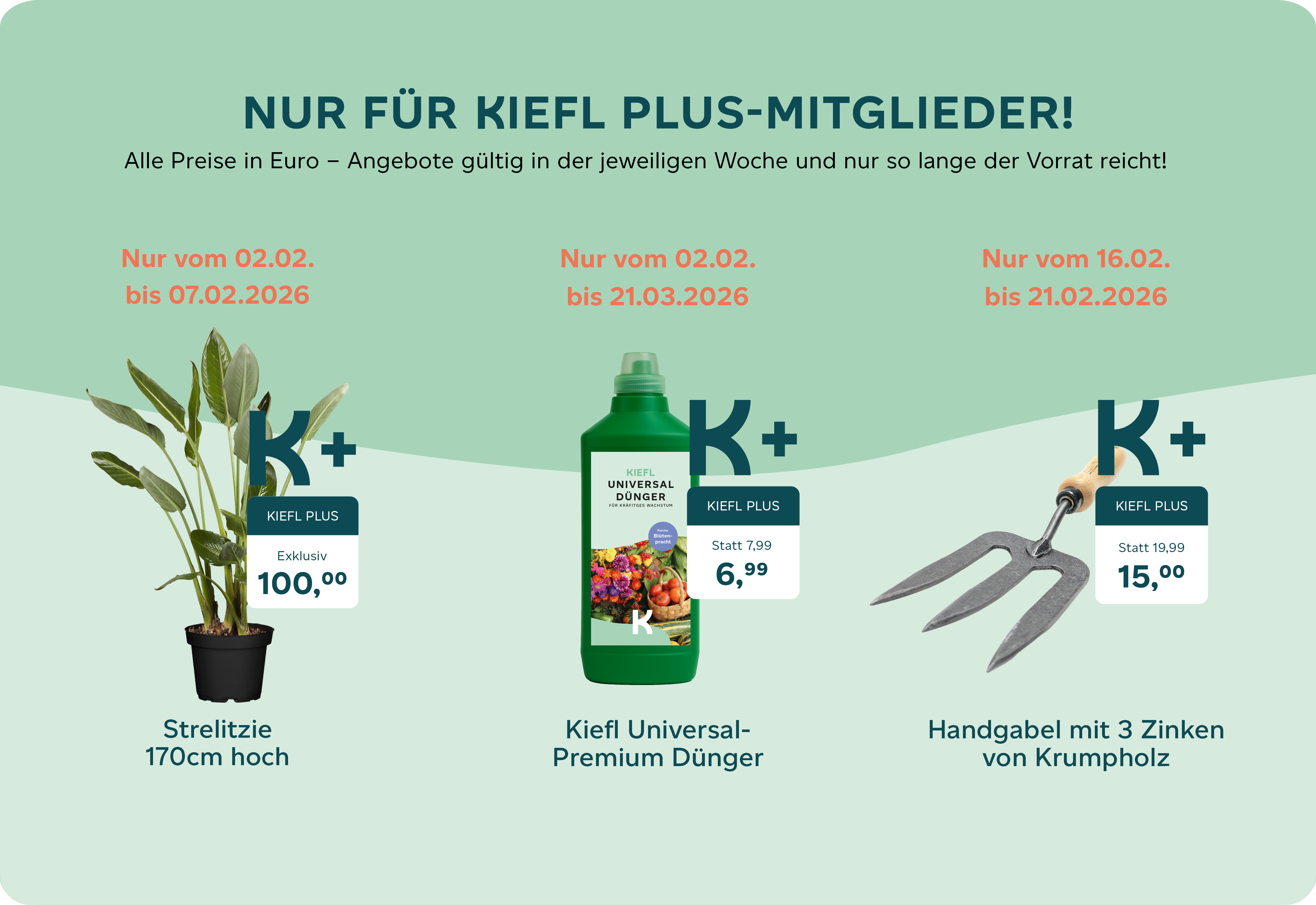 Kiefl Plus Angebote Februar 2026 Webseite.png