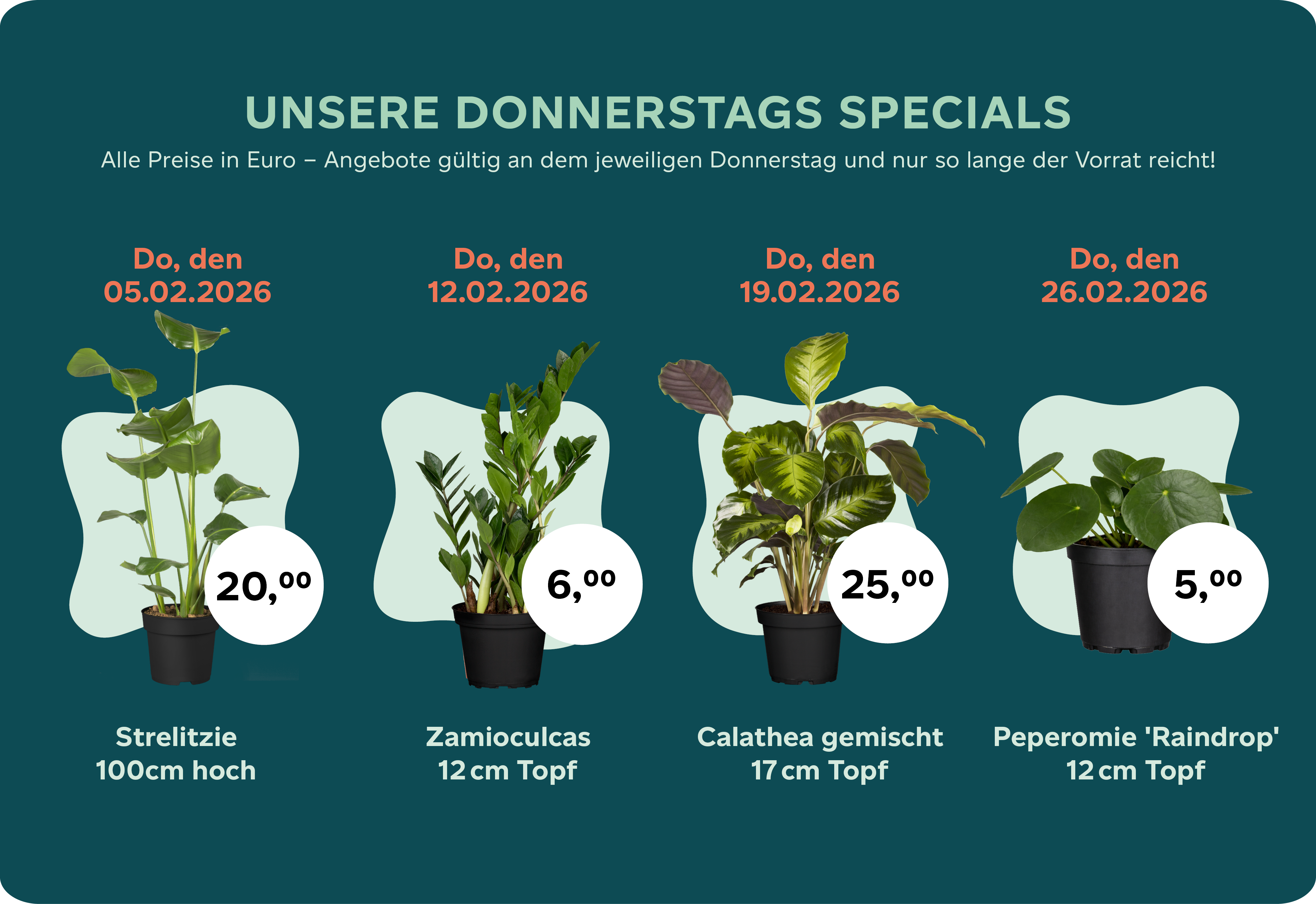 Donnertags-Special Februar 2026.png