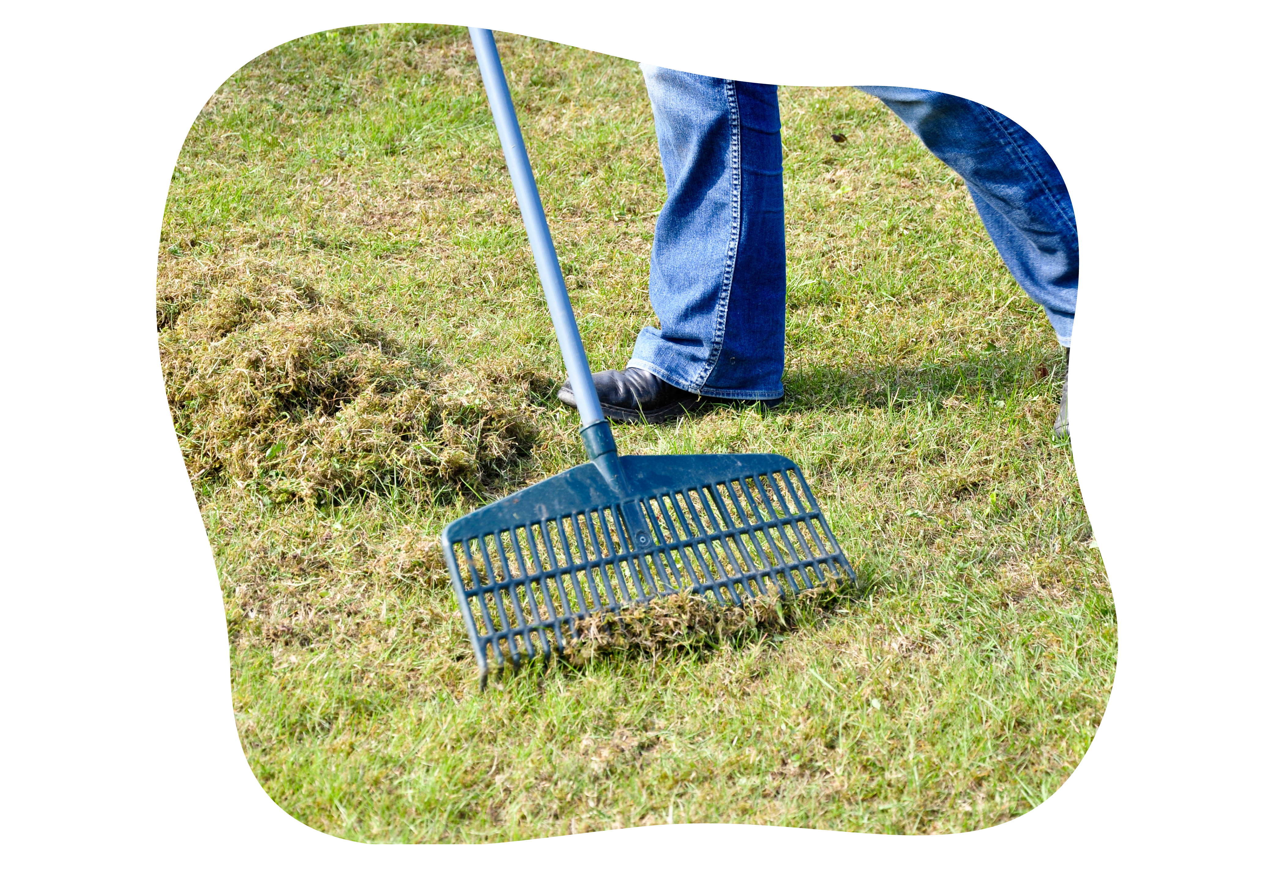 rasenpflege_im_fruehjahr_kiefls_welt_in_gauting_bei_muenchen_3.png