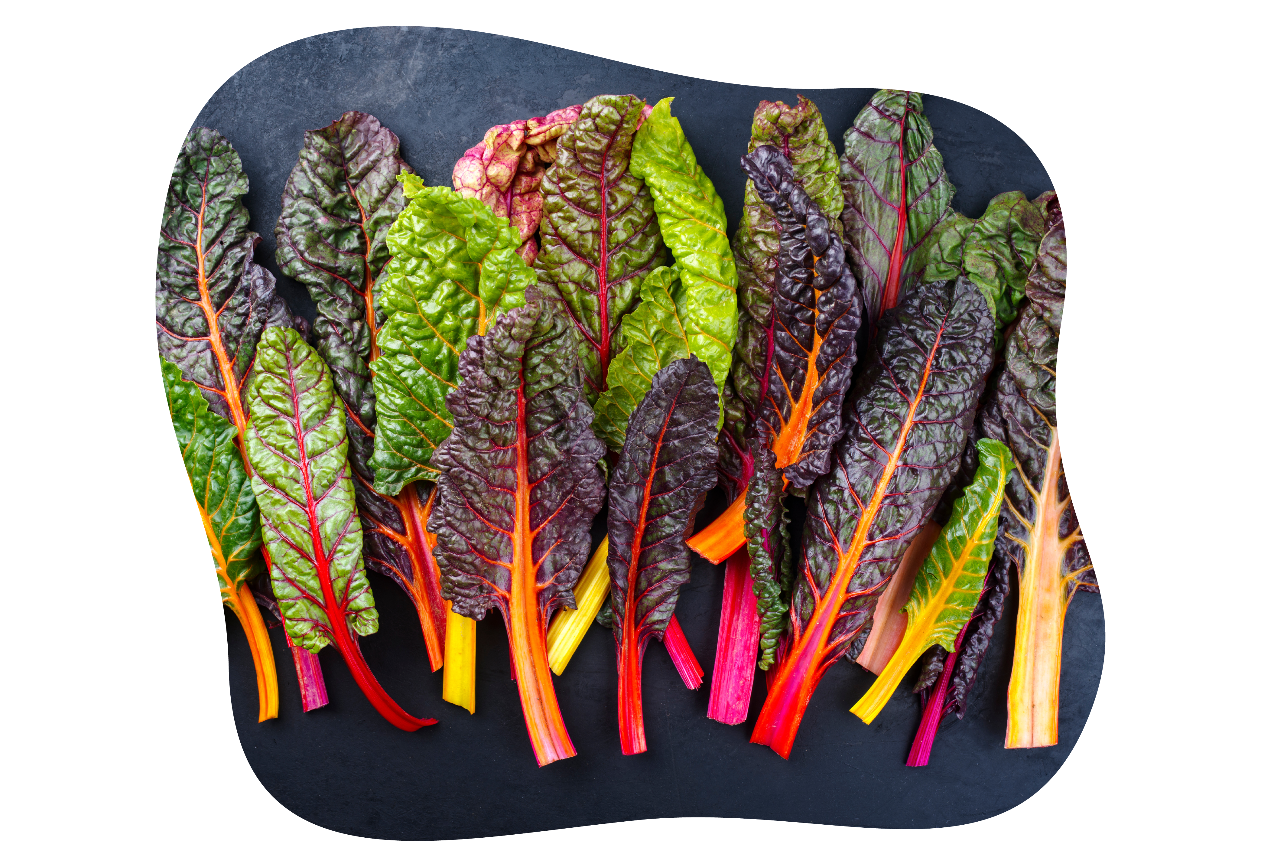 buntes gemuese_kiefls_welt_in_gauting_bei_muenchen_3.png