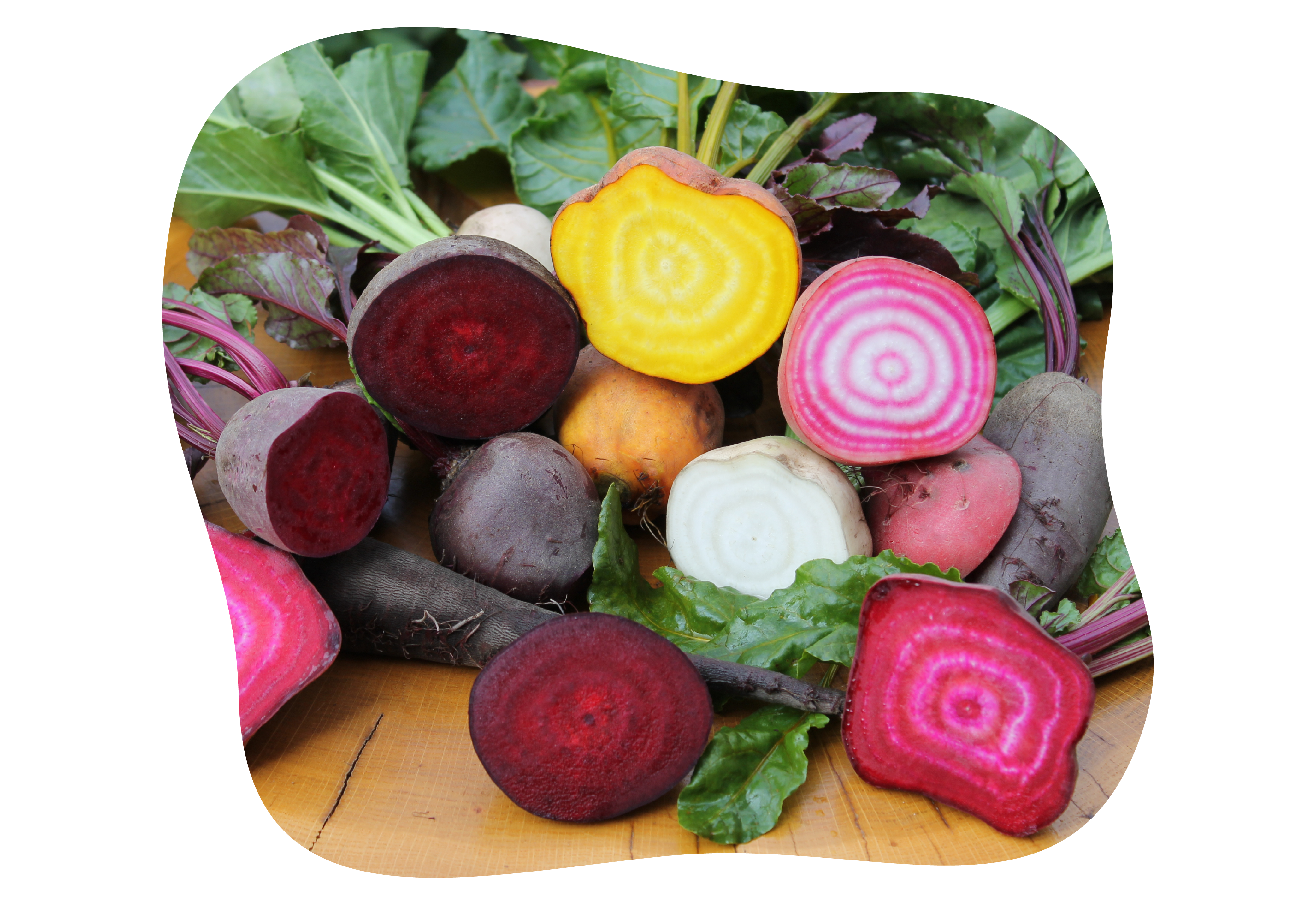 buntes gemuese_kiefls_welt_in_gauting_bei_muenchen_4.png