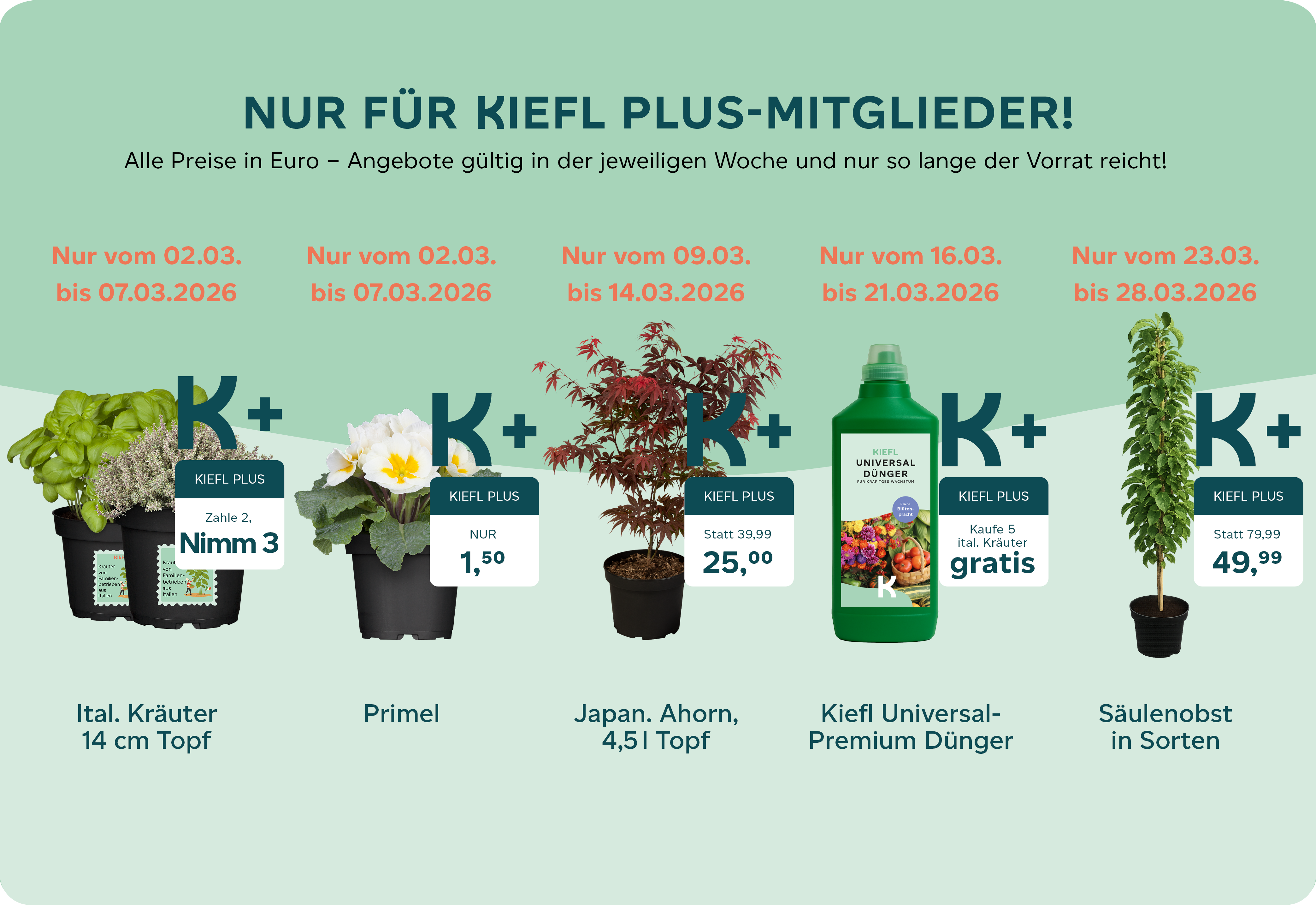 Kiefl Plus Angebote März 2026 Webseite.png