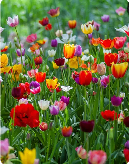 Jetzt wird's bunt | Vom 01. bis 30.04.2026