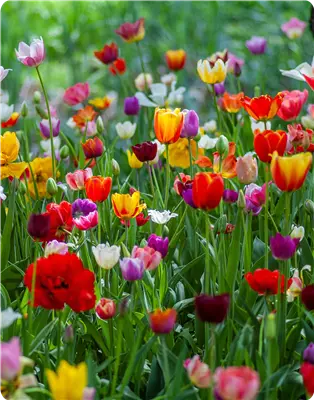 Jetzt wird's bunt | Vom 01. bis 30.04.2026