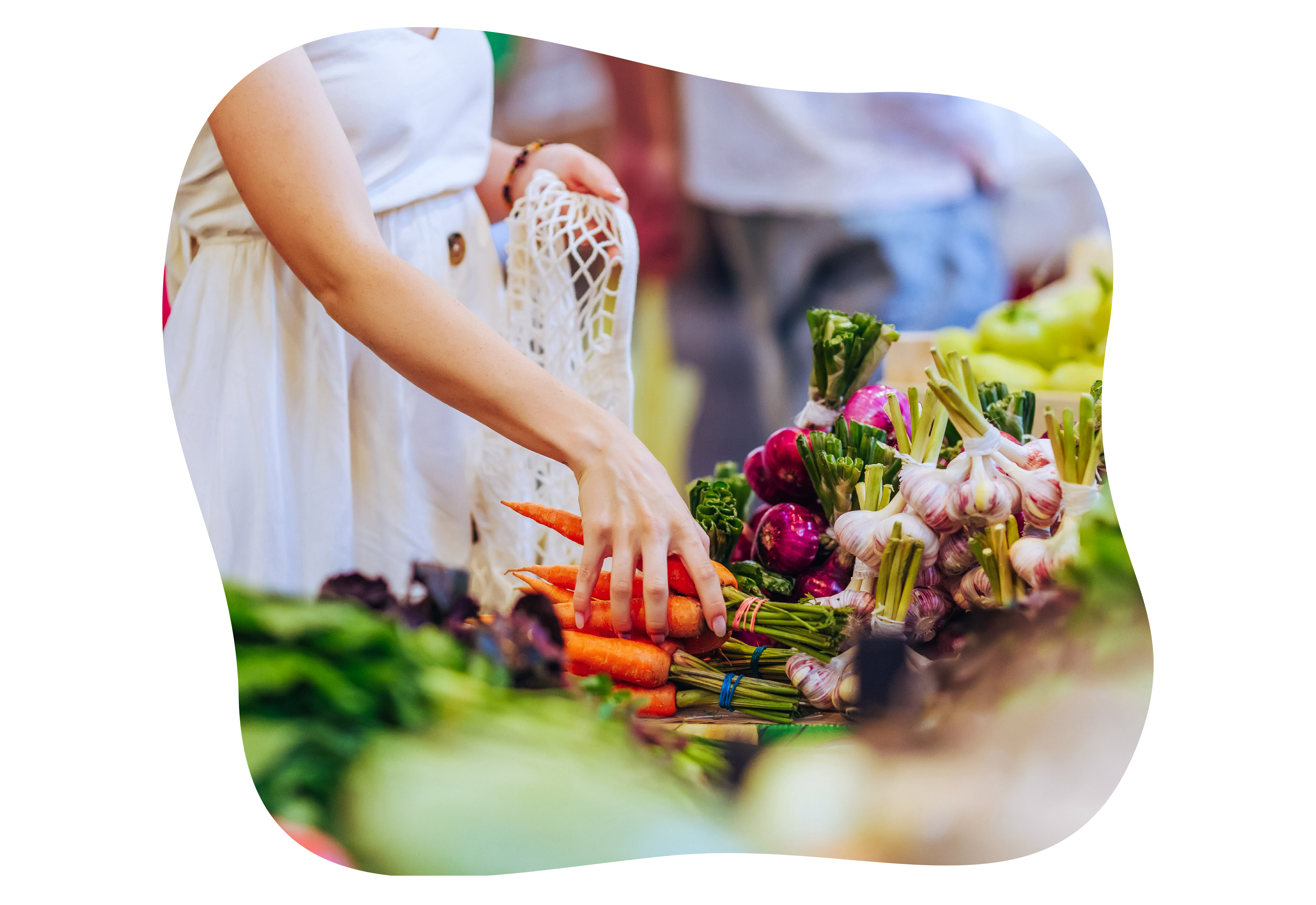 Frisch. Regional. Marktzeit. - Marktzeit vor dem Gartencenter!