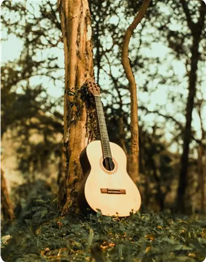 Acts gesucht für unser Mittsommer-Festival!