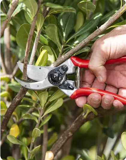 Felco Gartenscheren Service | Am 02.05.2026