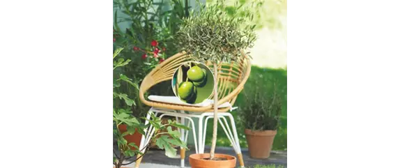 URLAUBSGEFÜHLE ZUHAUSE! 
