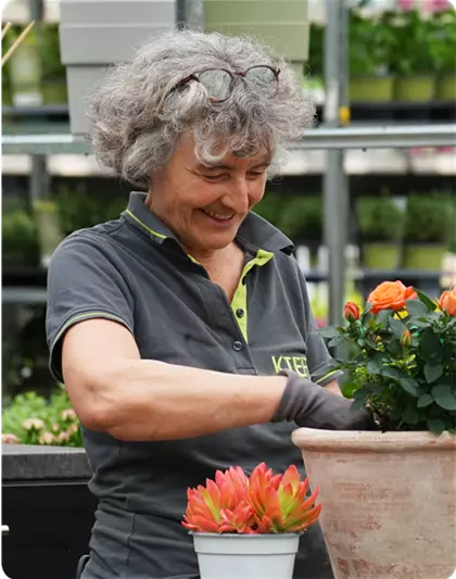 Du kaufst hier – wir pflanzen’s Dir! | Jeden Montag, ab 27.04. bis 25.05.2026