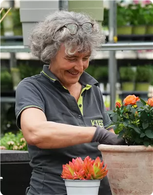 Du kaufst hier – wir pflanzen’s Dir! | Jeden Montag, ab 27.04. bis 25.05.2026