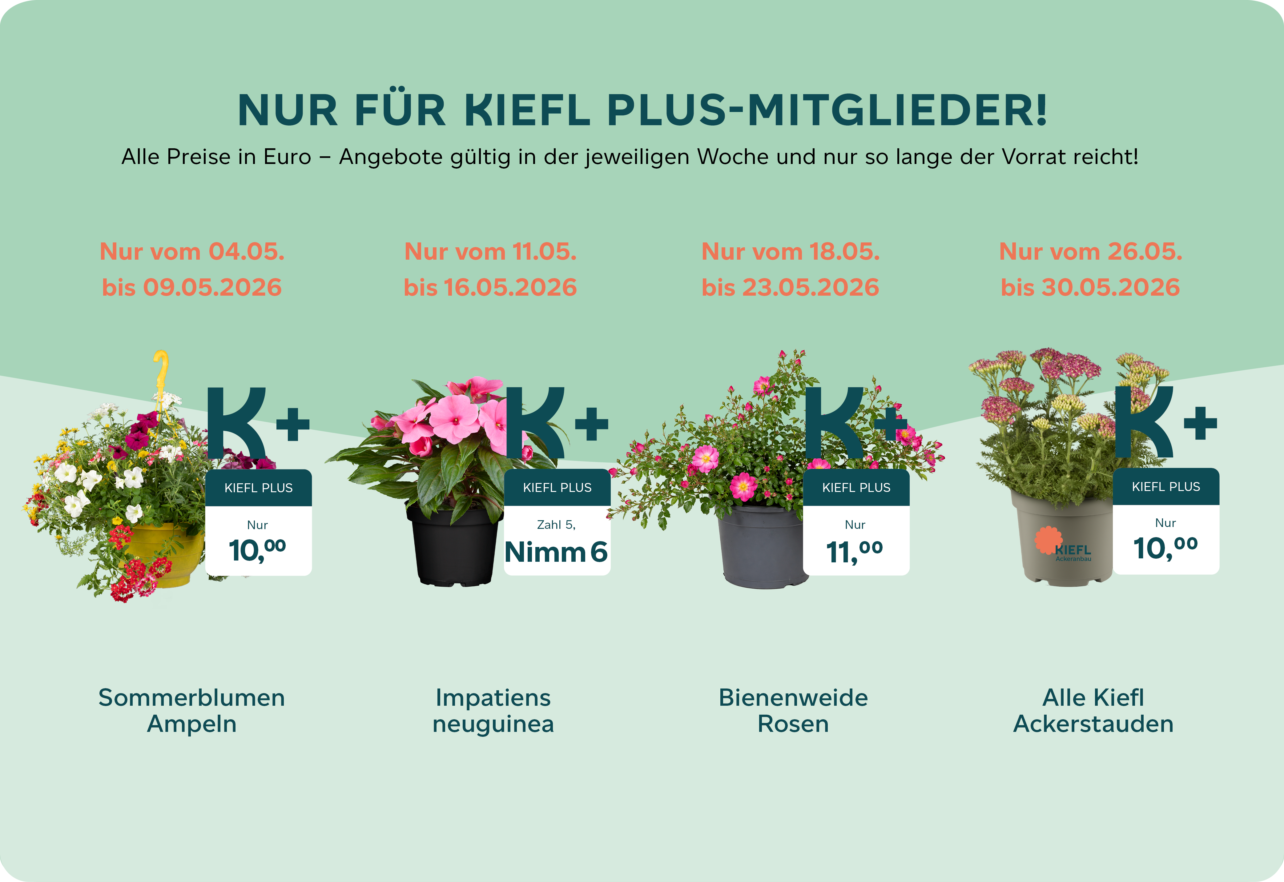 Kiefl Plus Angebote April 2026 Webseite.png