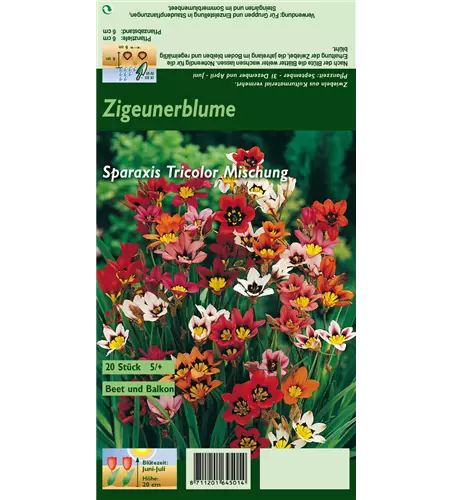 Dreifarbiges Fransenschwertel