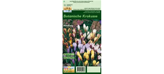 Botanische Krokusse