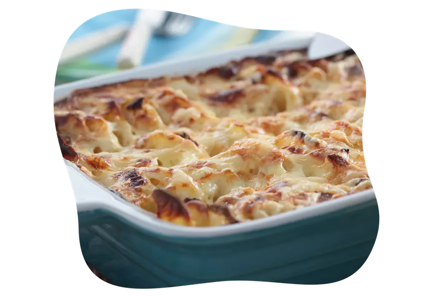 kohlrabi_haltbar_machen_kiefls_welt_in_gauting_bei_muenchen_2.png