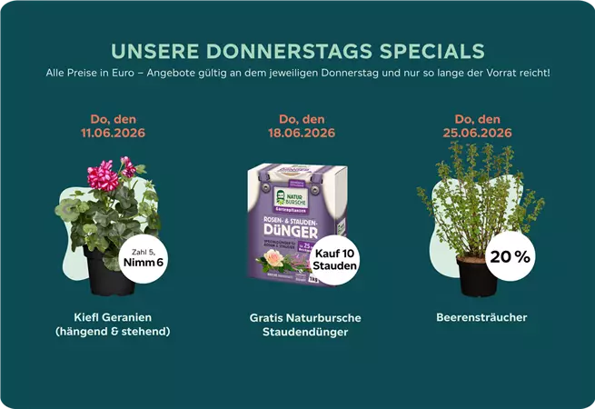 Donnertags-Special Juni 2026.png