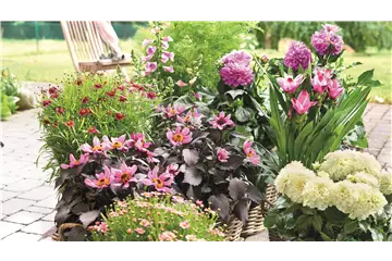 BLÜHENDER GARTEN! AUSDAUERNDE STAUDEN FÜR TERRASSEN UND BEETE. 