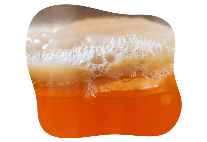 kraeuter-fermentieren_kiefls_welt_in_gauting_bei_muenchen_2.png
