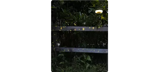 Solar Strangbeleuchtung
