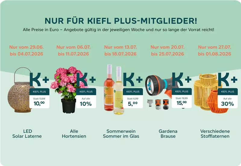 Kiefl Plus Angebote Juli 2026 Webseite.png