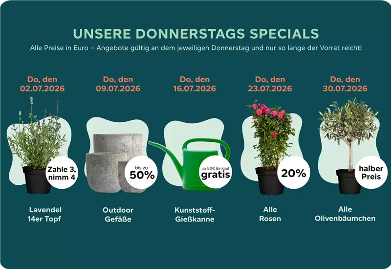 Donnertags-Special Juli 2026.png