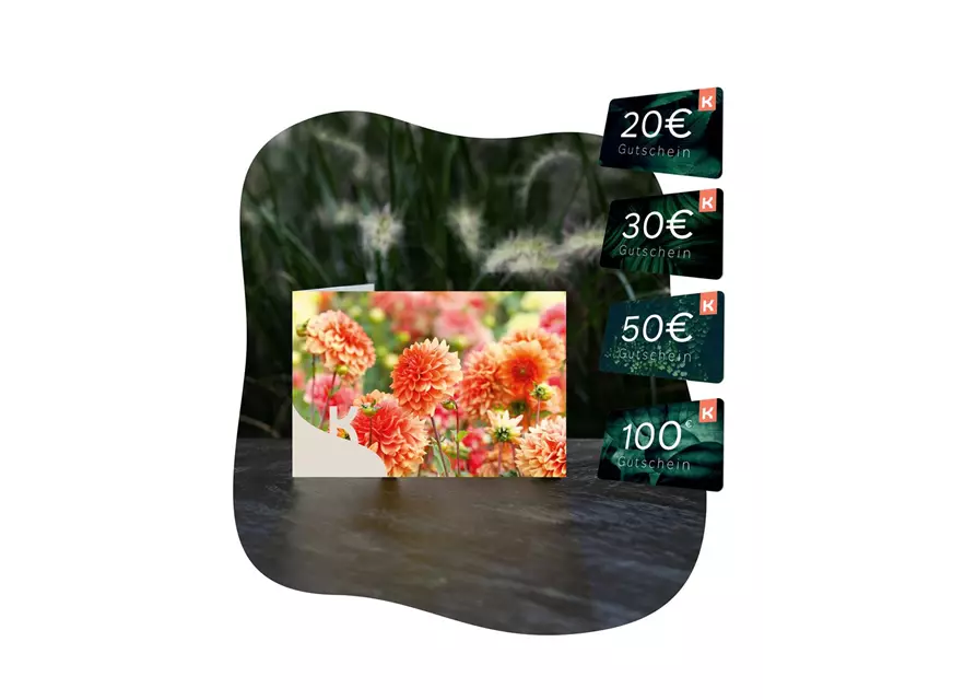 Motiv-Gutschein Dahlien