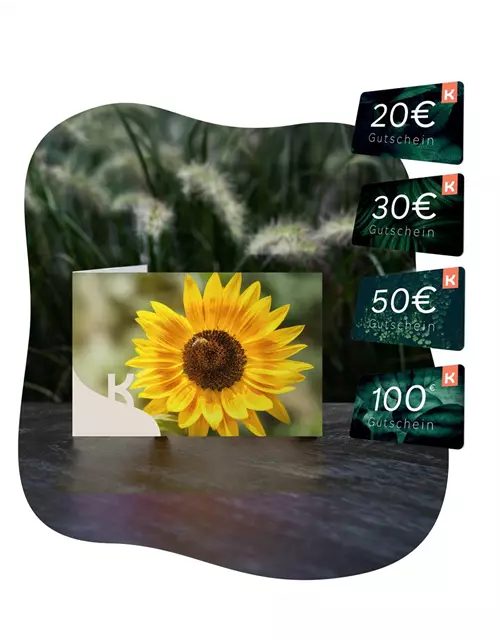 Motiv-Gutschein Sonnenblume