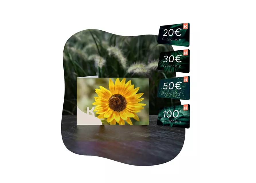 Motiv-Gutschein Sonnenblume