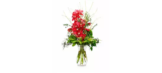Blumenstrauß 'Majestätische Orchidee'