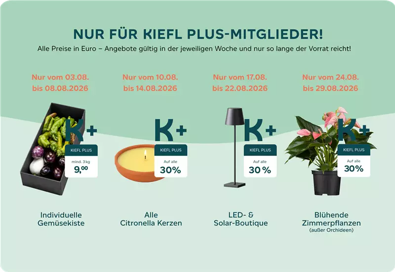 Kiefl Plus Angebote August 2026 Webseite.png