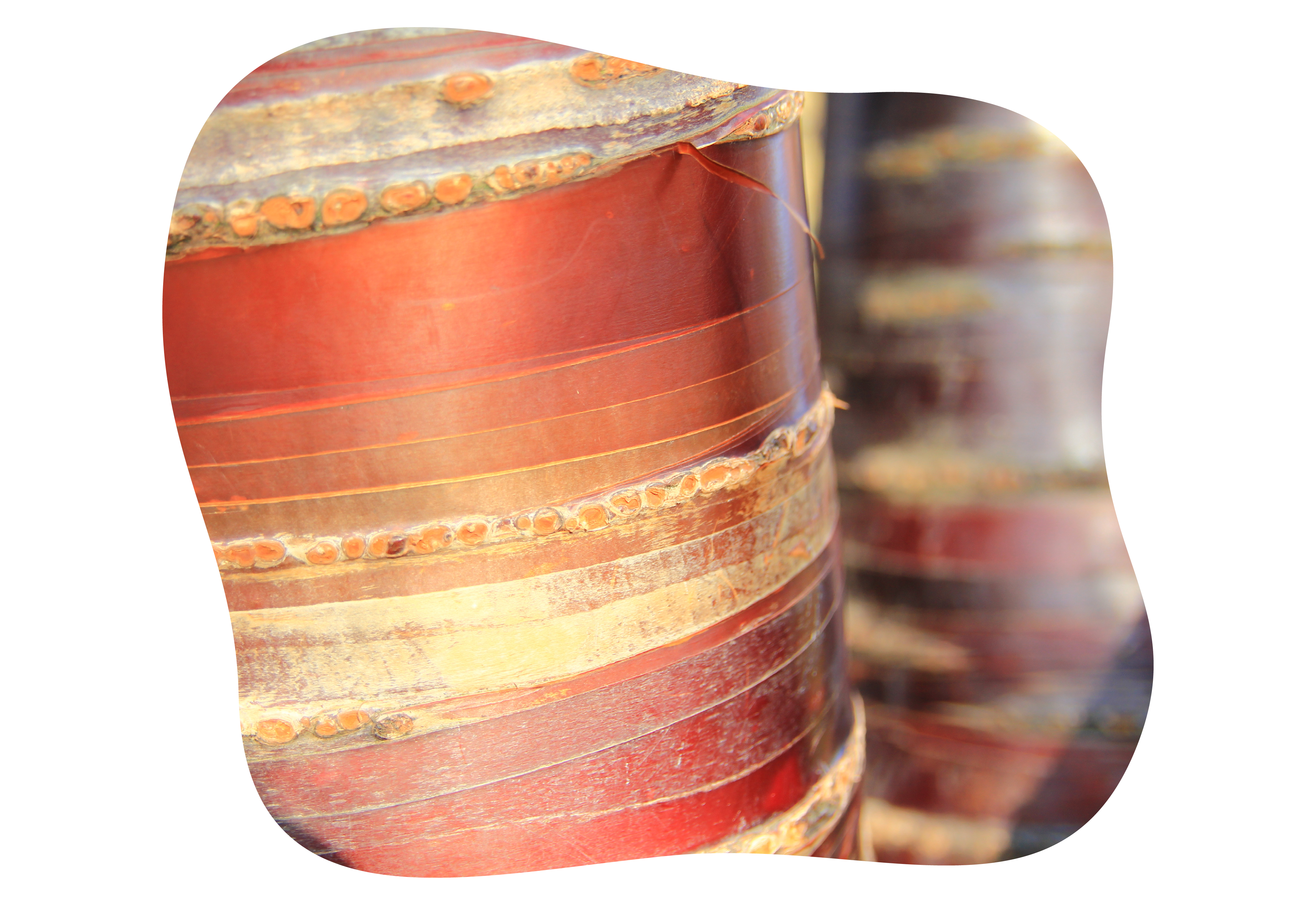 mahagoni_kirsche_winterschoene_rinde_kiefls_welt_in_gauting_bei_muenchen_1.png