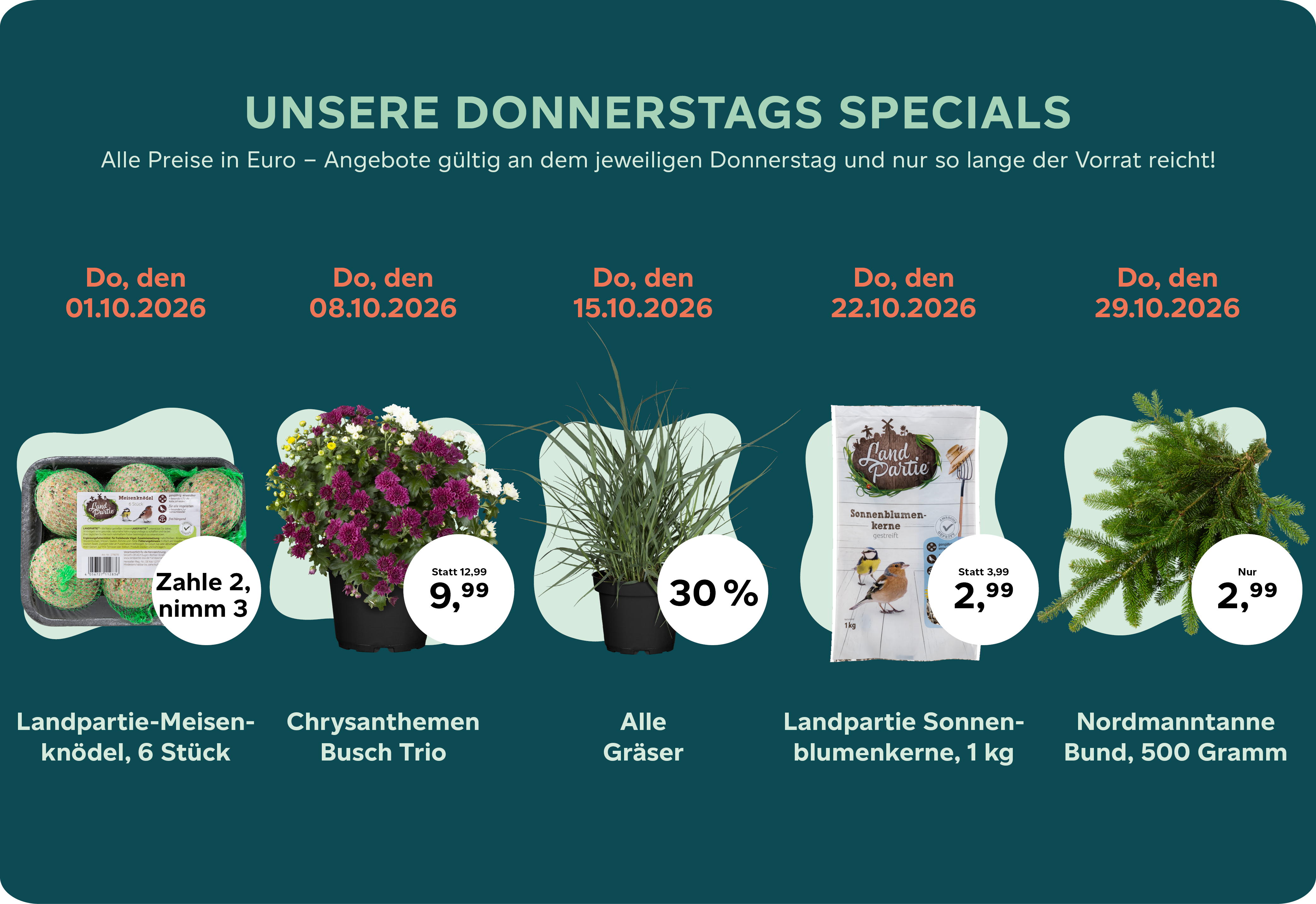 Donnertags-Special Oktober 2026.png