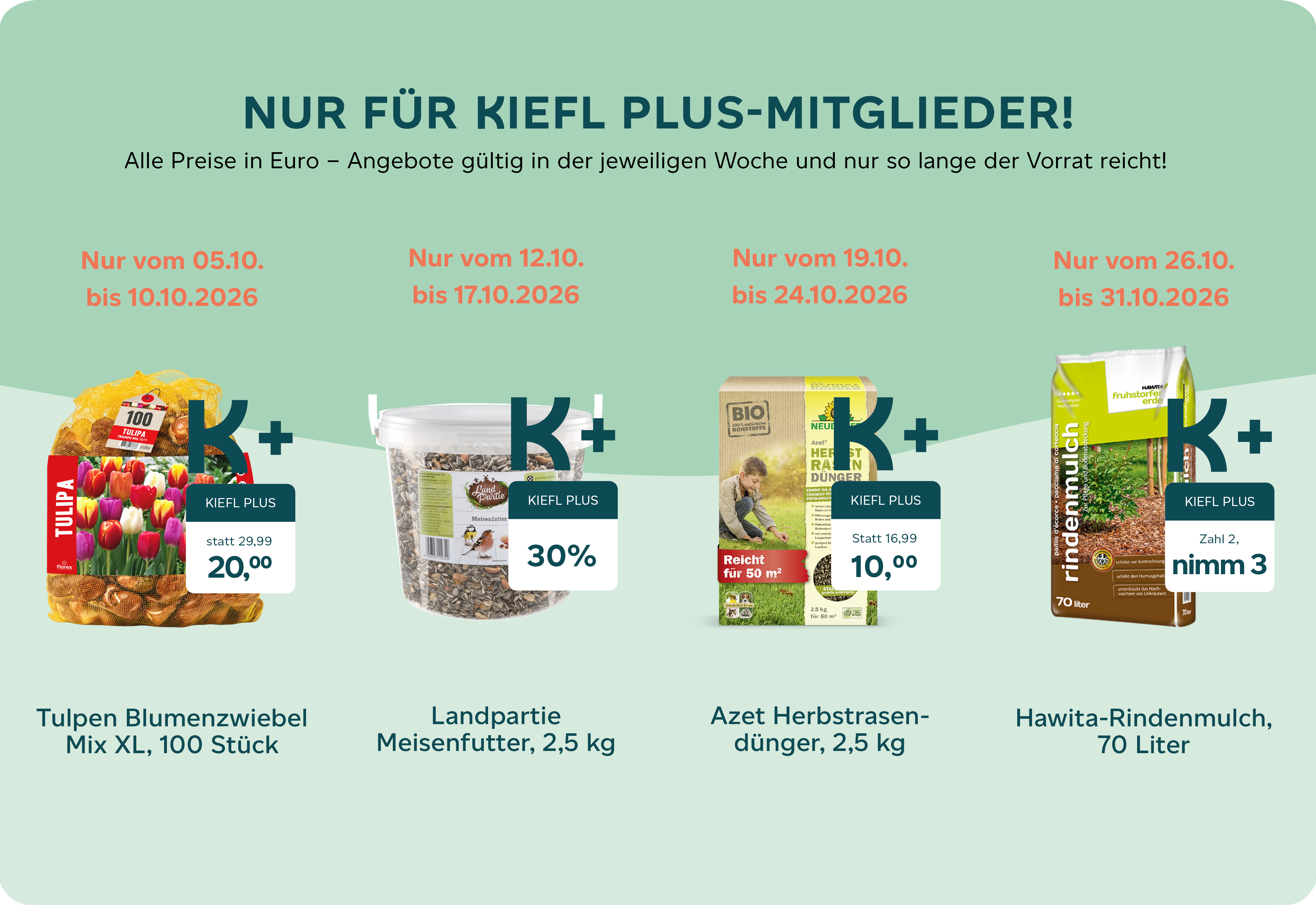 Kiefl Plus Angebote Oktober 2026 Webseite.png