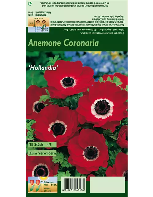 Blumenzwiebel Set 'Red Passion'