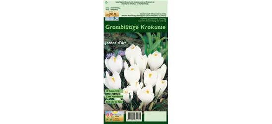 Frühlings-Krokus 'Jeanne d´Arc'